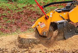 Best Tree and Shrub Care  in Byron, IL